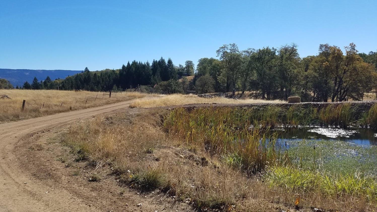 0 Rattlesnake Ridge Road Bridgeville, CA 95526 - Photo 12 of 21