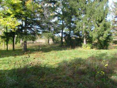 3474 Elms Road Swartz Creek, MI 48473 - Photo 3 of 6 20160958-2.JPG