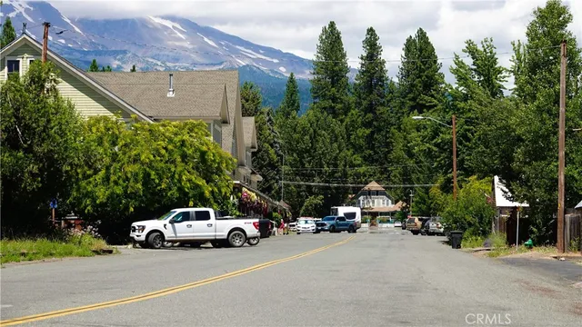 a sign broad in front of the tree