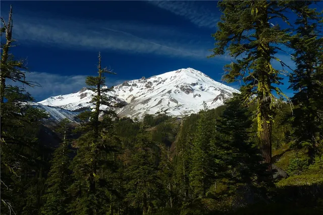a view of a wooden fence of a house with a yard