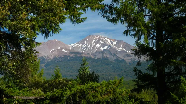 a view of a snow in the yard