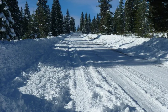 a view of a yard in a yard