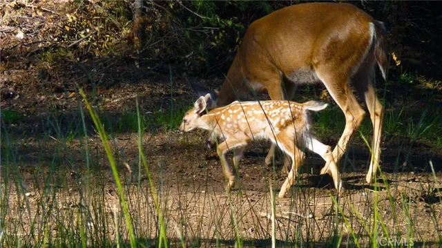 a view of swimming pool