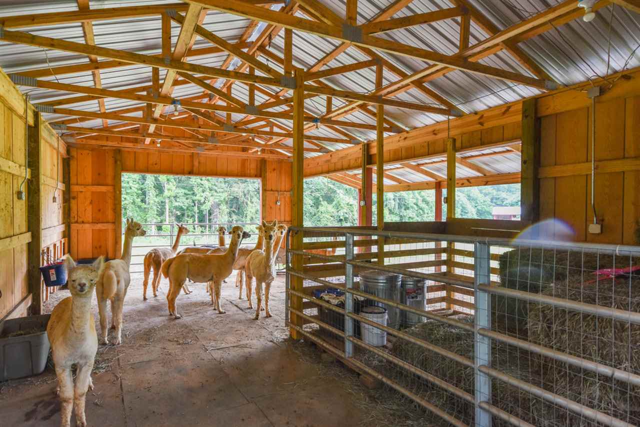 575 Rocky Ridge Road Enoree, SC 29335 - Photo 25 of 25