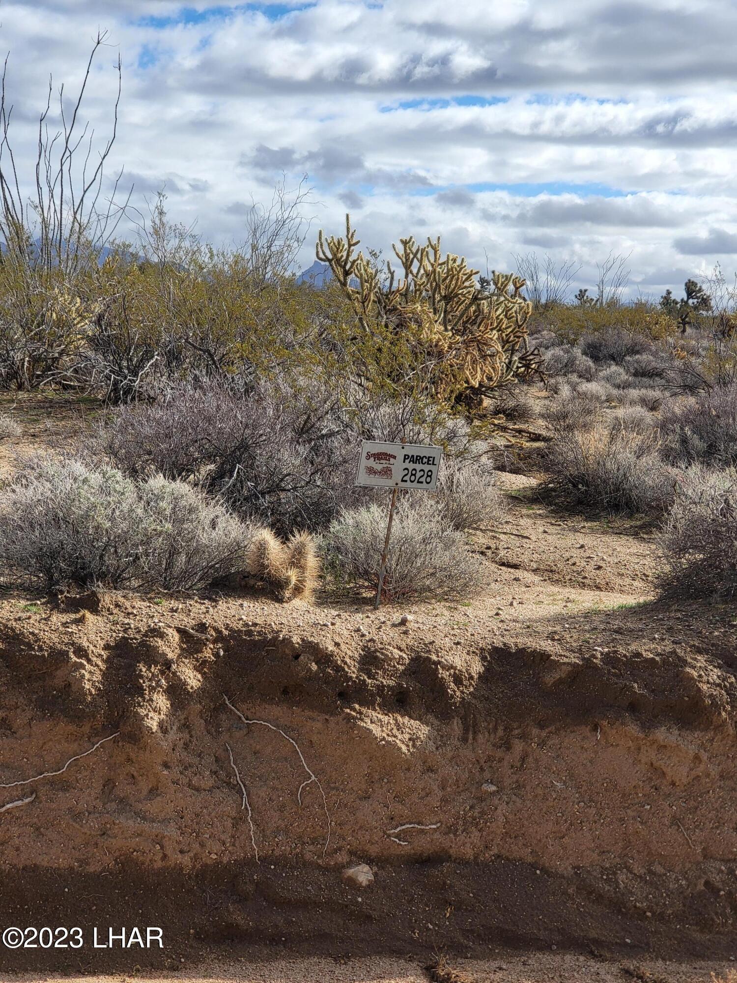 2828 South Billy The Kid Road Yucca, AZ 86438 - Photo 1 of 7 20230103_111101