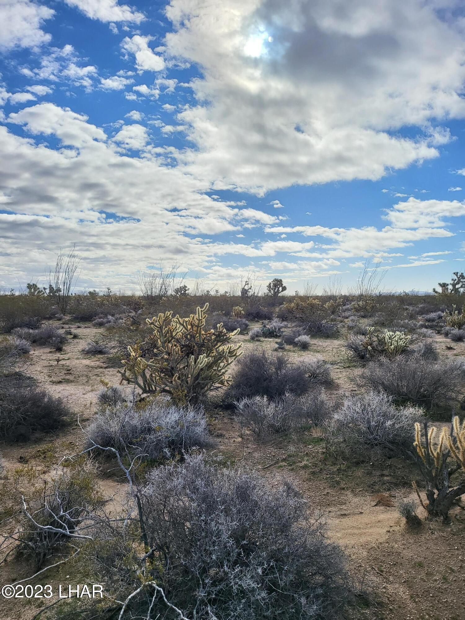 2828 South Billy The Kid Road Yucca, AZ 86438 - Photo 5 of 7 20230103_110911