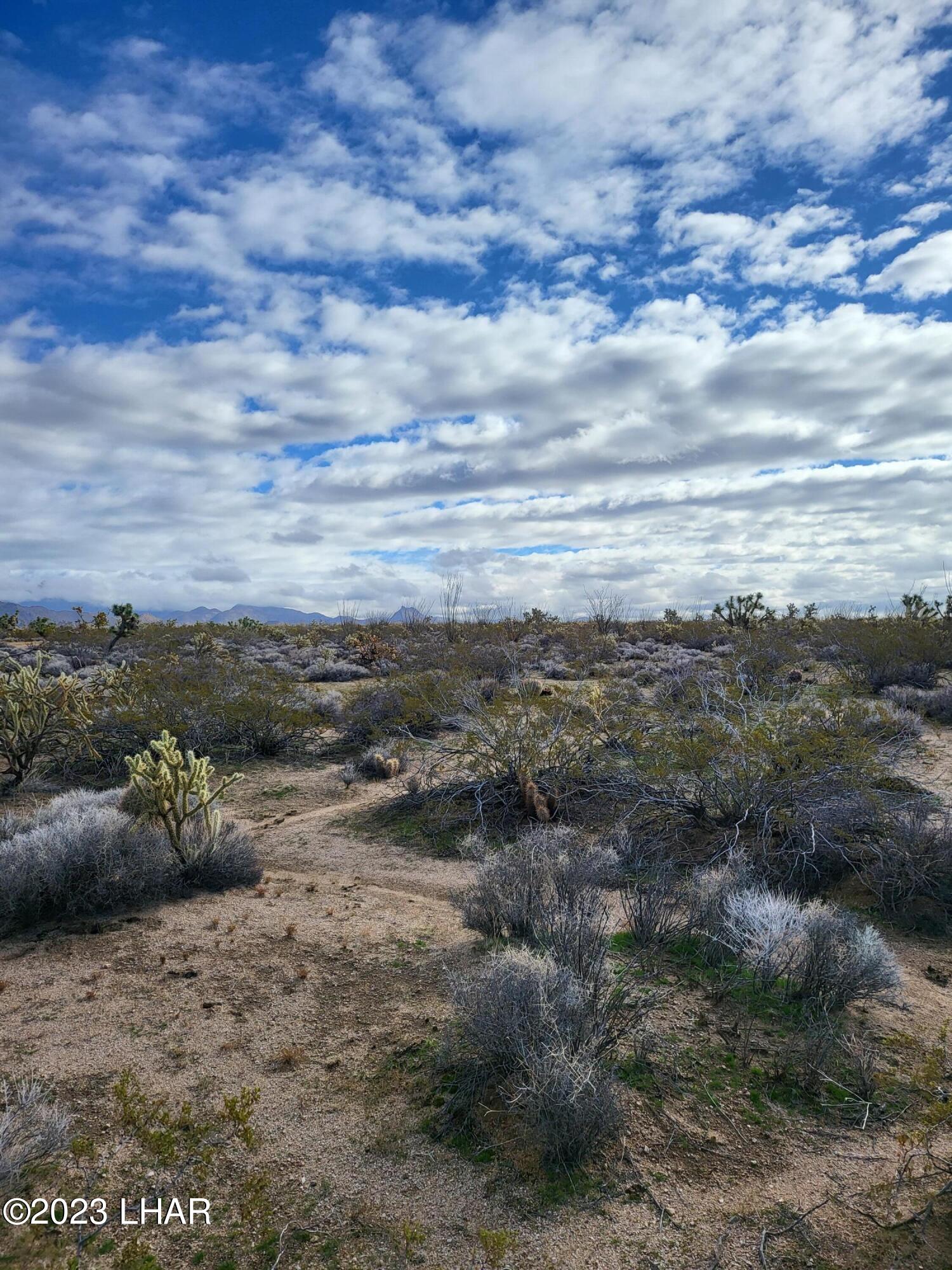 2828 South Billy The Kid Road Yucca, AZ 86438 - Photo 6 of 7 20230103_110919