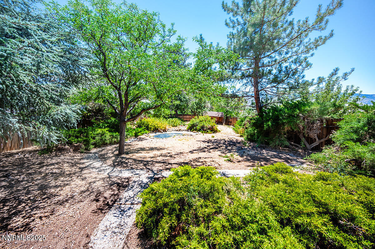 3670 Meeks Way Reno, NV 89503 - Photo 17 of 21 a view of a yard with plants and a tree
