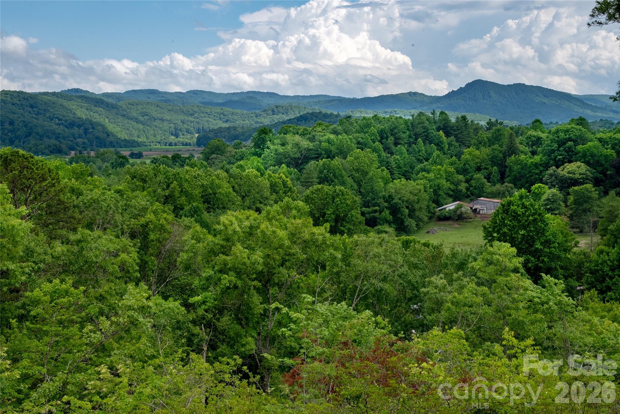Tbd Cherryfield Loop Brevard, NC 28712 - Photo 10 of 15