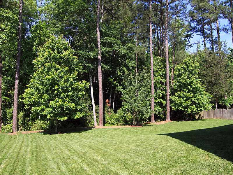 9223 Stone Mountain Road Raleigh, NC 27613 - Photo 17 of 17 Back Yard