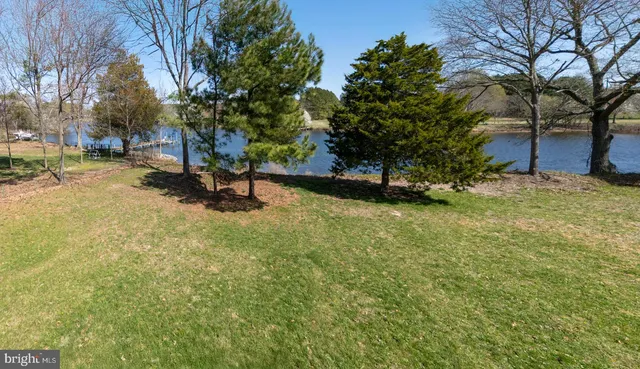a view of backyard with tree