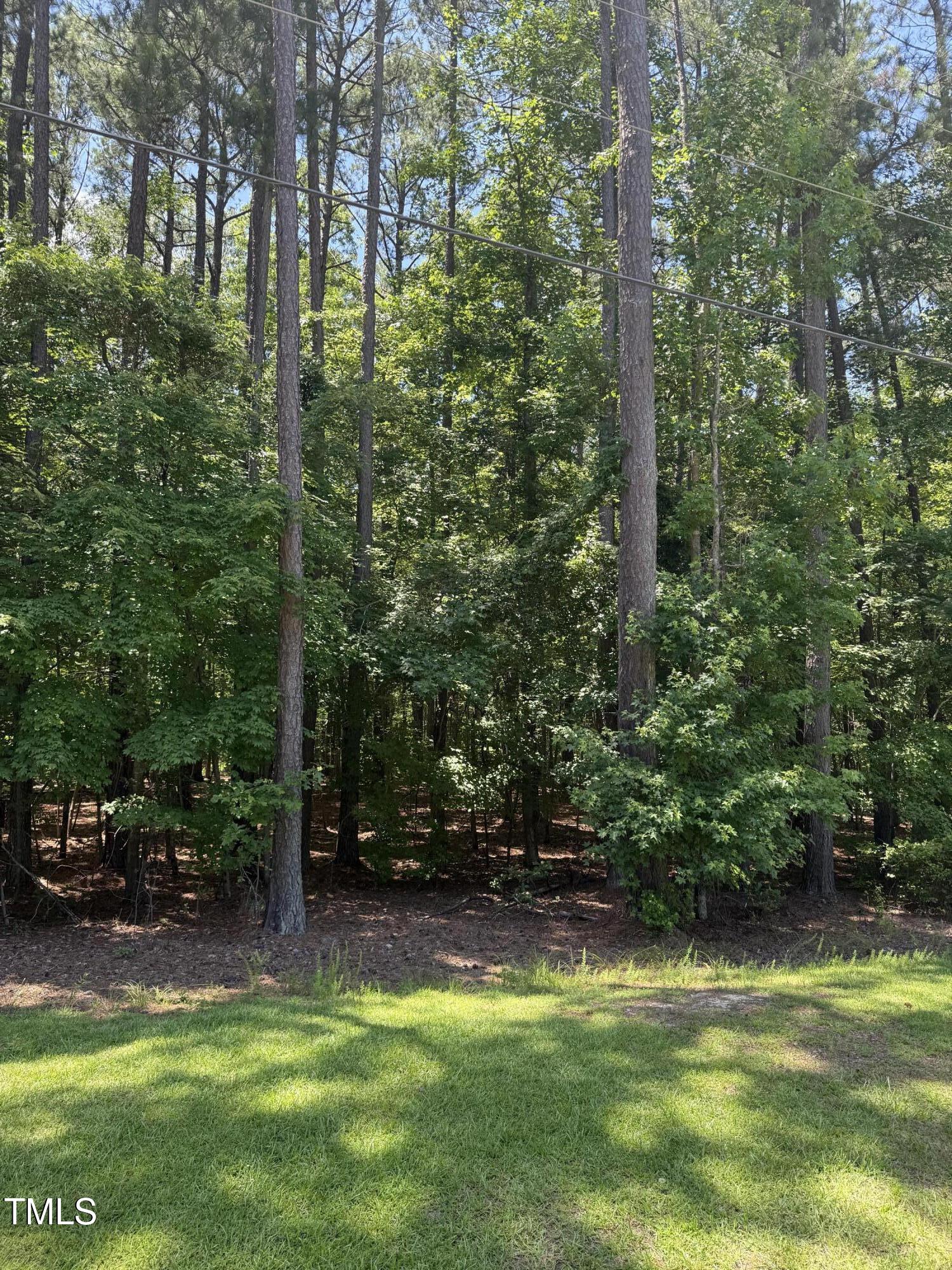 1209 Batchelor Road Apex, NC 27523 - Photo 7 of 8 IMG_9193