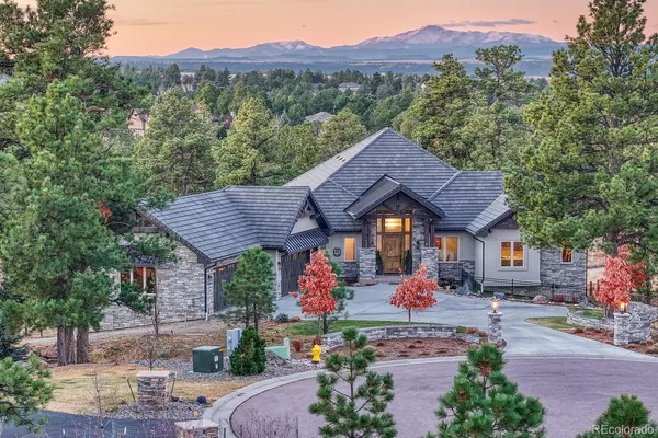 an outdoor space with lots of trees