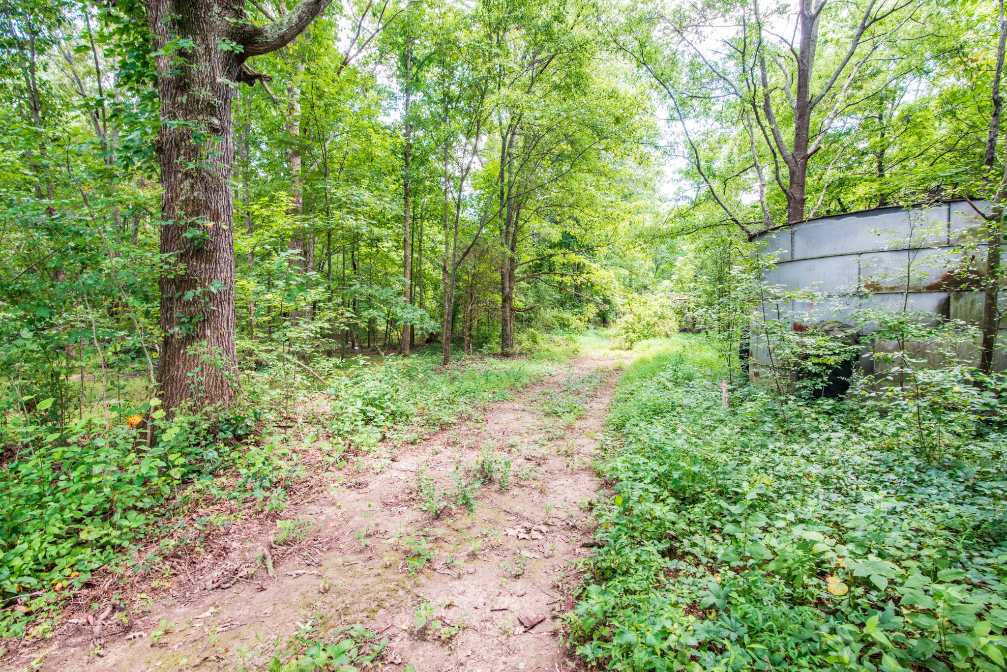0 Marshall Road Belvidere, TN 37306 - Photo 18 of 18 Gallery Image 18