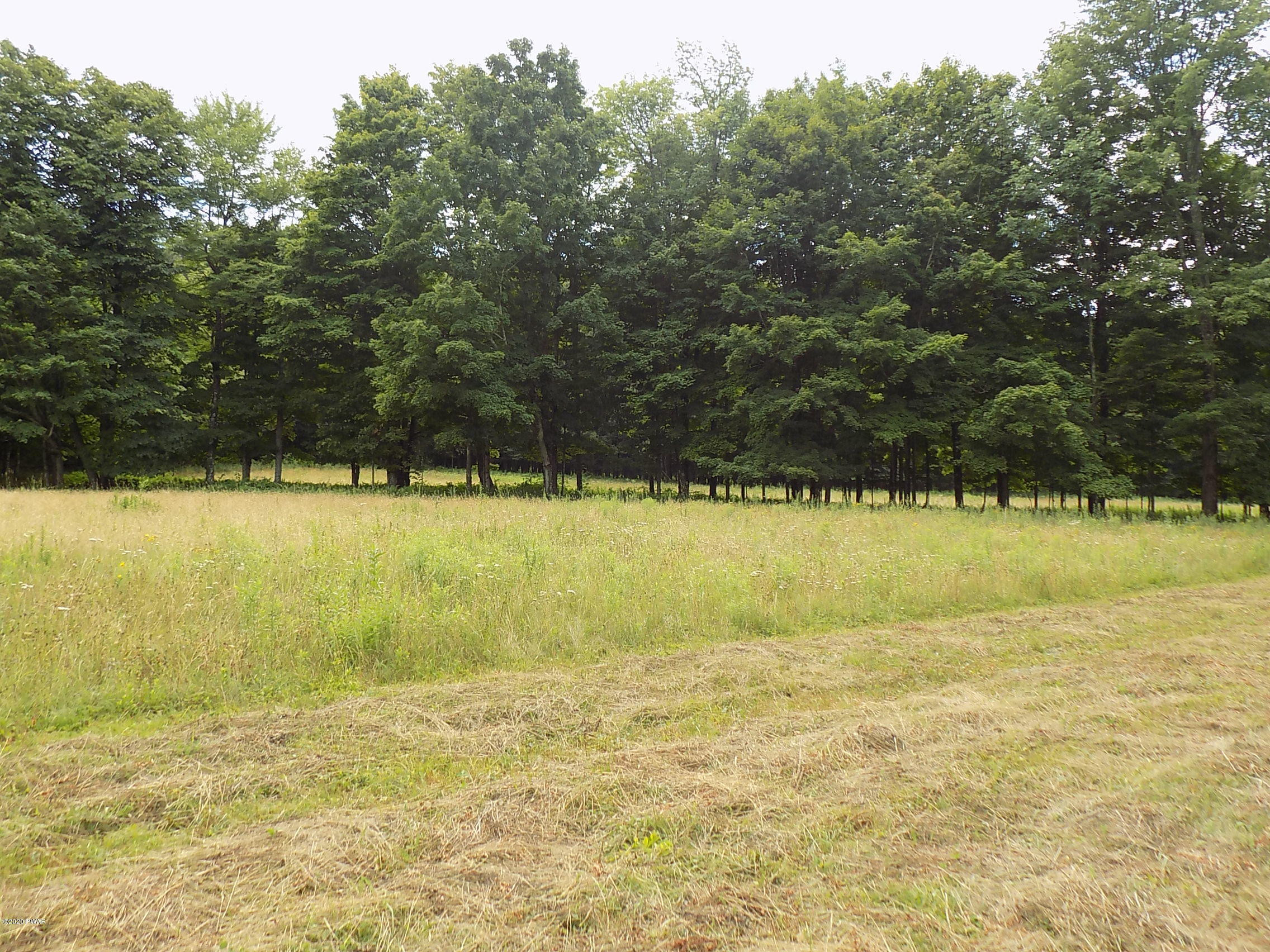 Lot 9 Phillips Road Newfoundland, PA 18445 - Photo 11 of 17