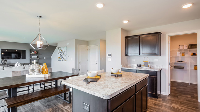 3738 Doherty Lane McHenry, IL 60050 - Photo 5 of 12