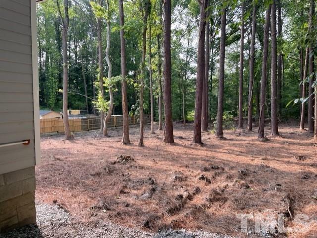 308 South Mineral Springs Road Durham, NC 27703 - Photo 38 of 42 a view of a backyard with trees