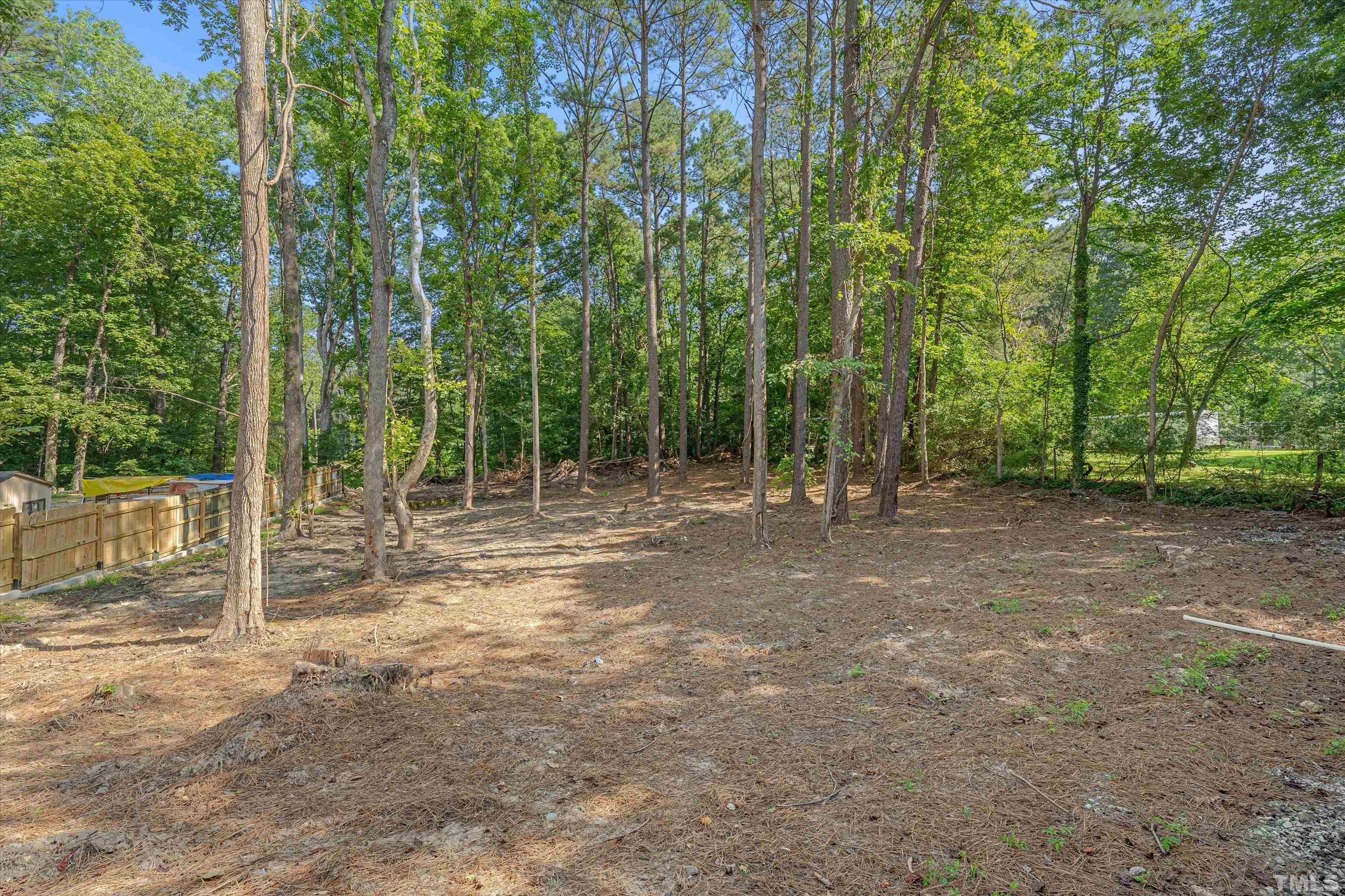 308 South Mineral Springs Road Durham, NC 27703 - Photo 41 of 42 a view of outdoor space with trees
