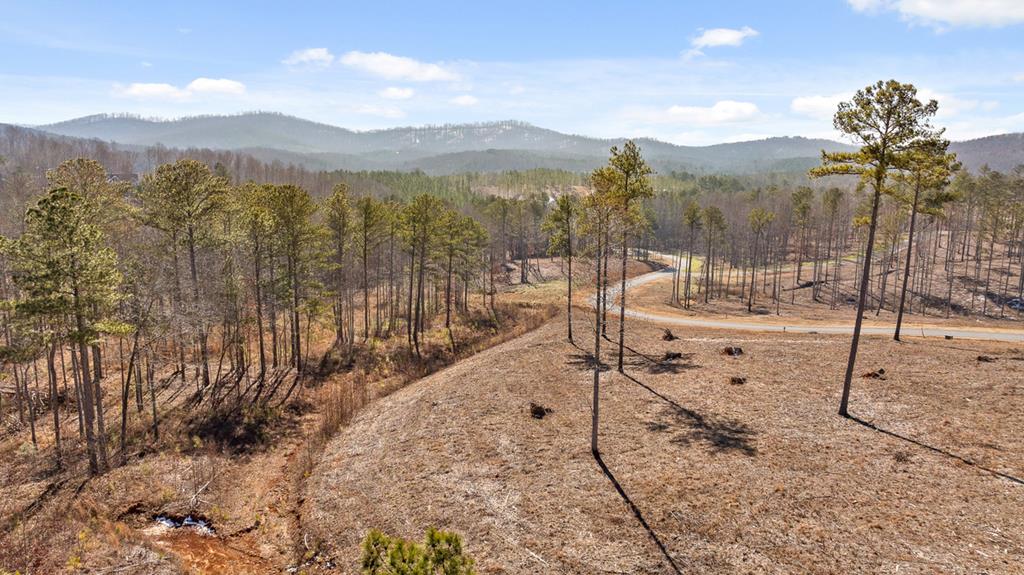 Lot 293 Twisted Oak Road Talking Rock, GA 30175 - Photo 1 of 46 Main View