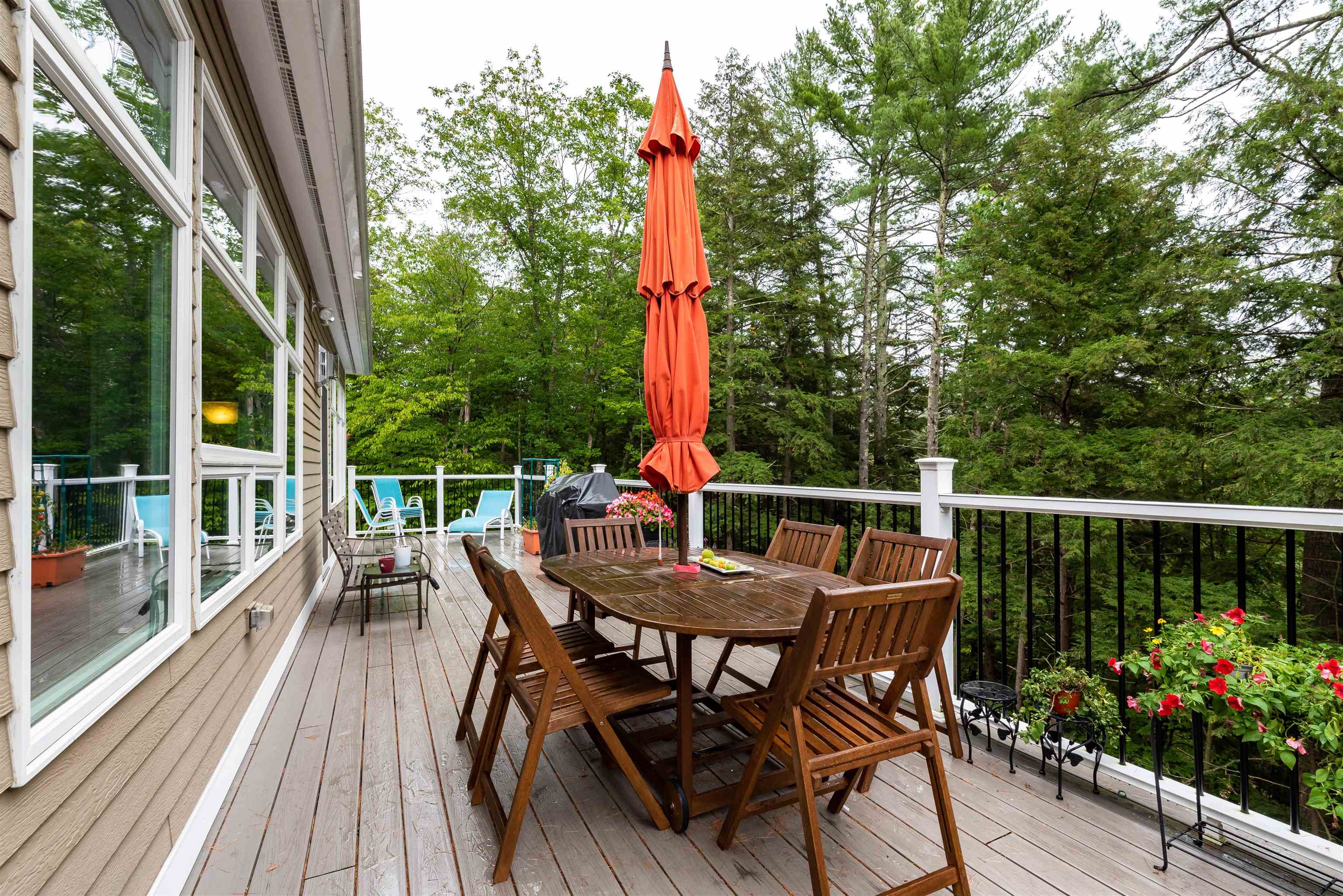 56 Chandler Mountain Road Intervale, NH 03845 - Photo 14 of 15
