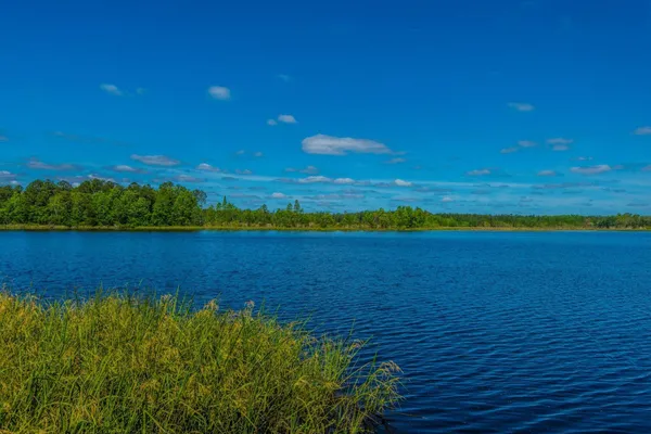 $499,499 | 342 Fox Ridge Lane, Moncks Corner, SC 29461