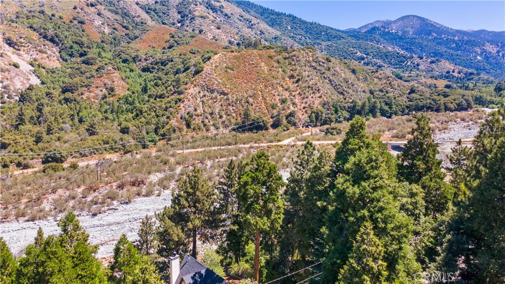 39444 Canyon Drive Forest Falls, CA 92339 - Photo 25 of 28