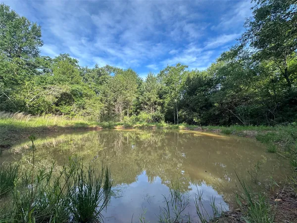 a view of a lake from a yard