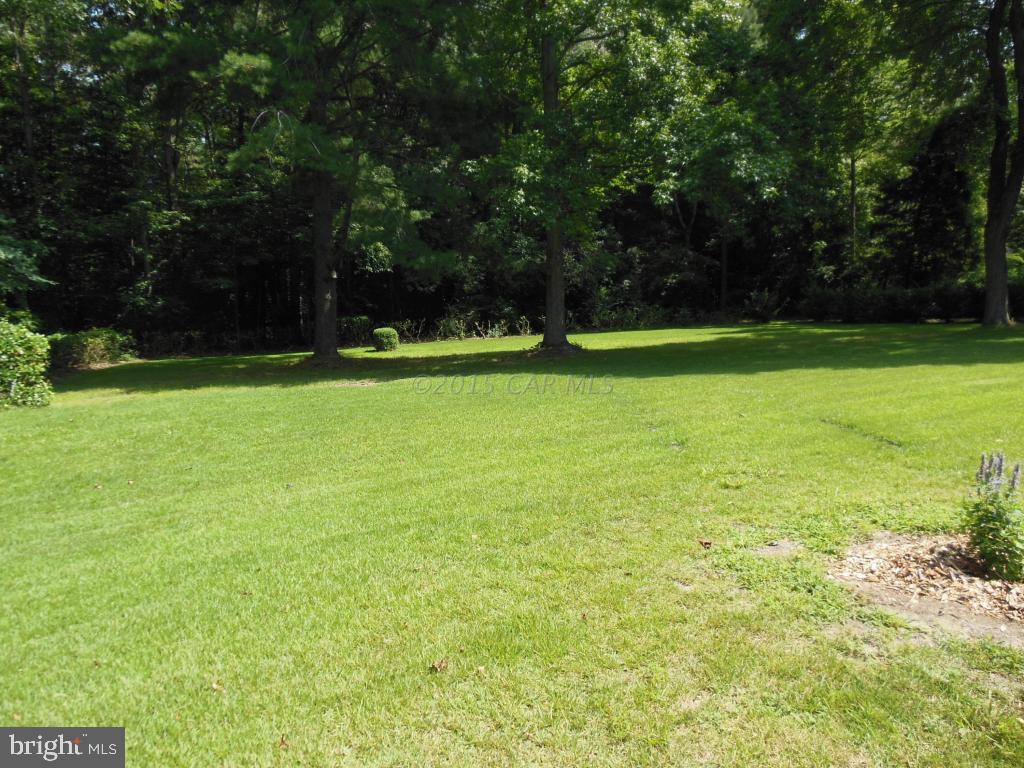 31616 Dagsboro Road Delmar, MD 21875 - Photo 35 of 39 Gallery Image 35