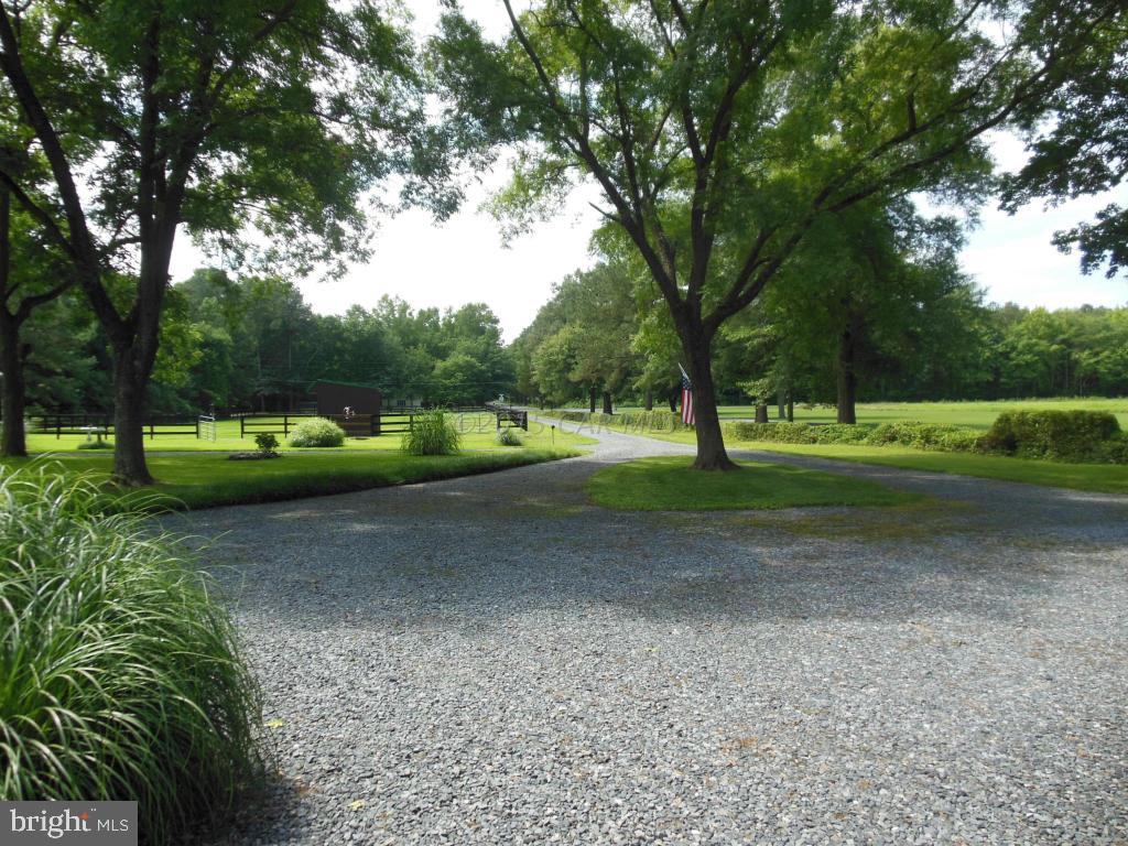 31616 Dagsboro Road Delmar, MD 21875 - Photo 5 of 39 Gallery Image 5