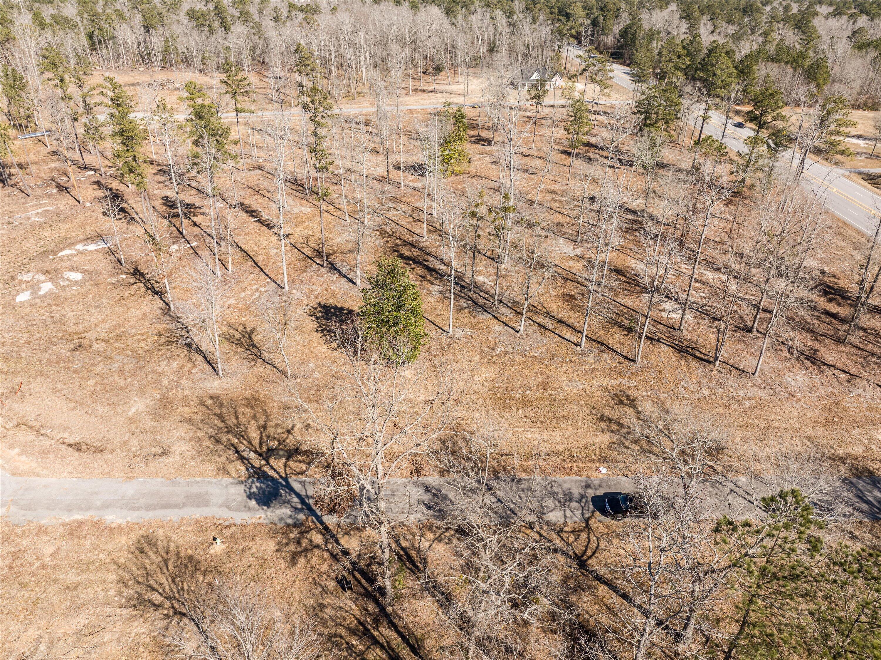 126 Big Rock Road Thomson, GA 30824 - Photo 2 of 4 41-DJI_0716-HDR