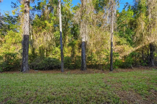 a view of outdoor space and green space