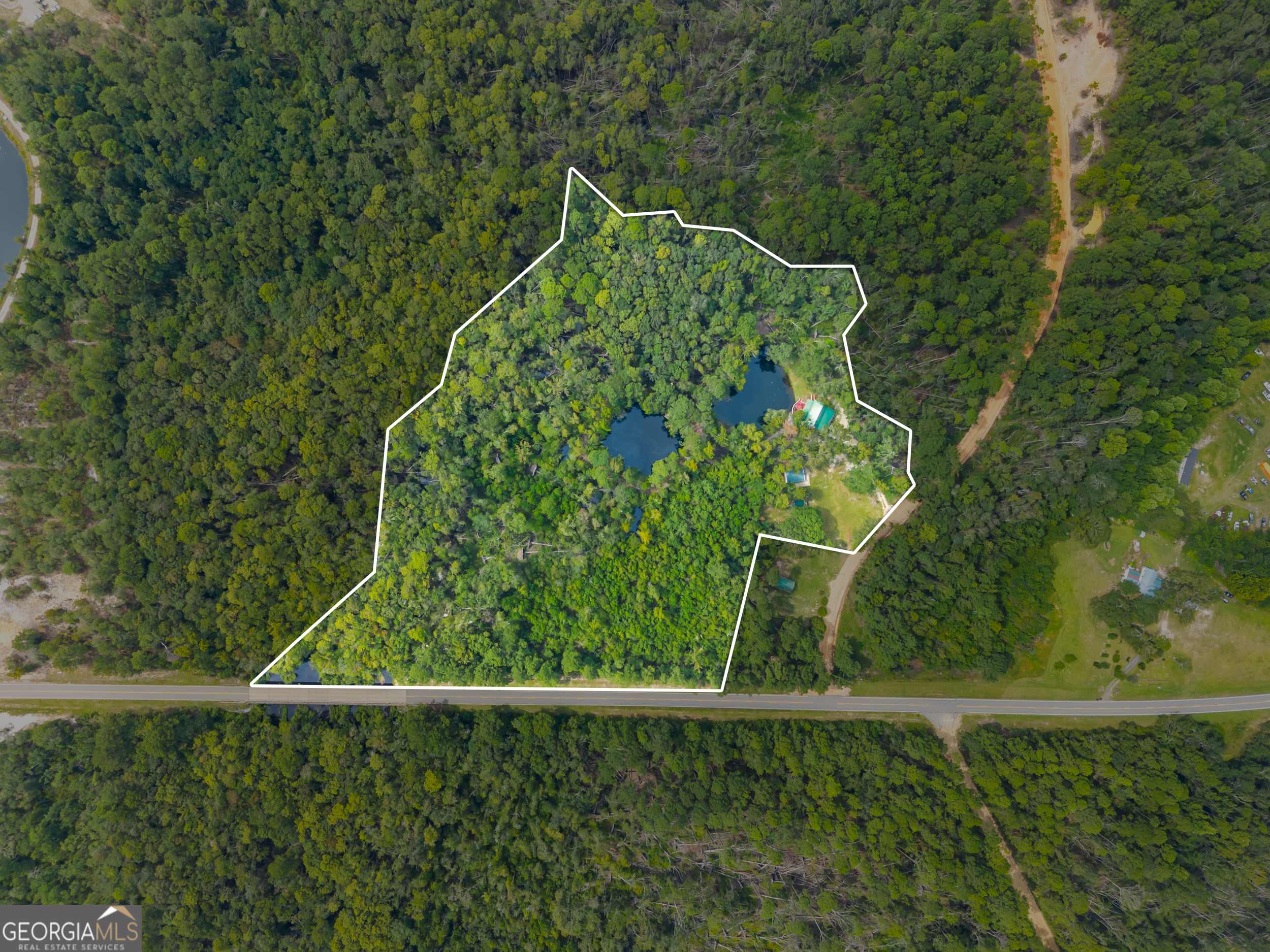 3770 Hill Road Metter, GA 30439 - Photo 2 of 32 a garden view