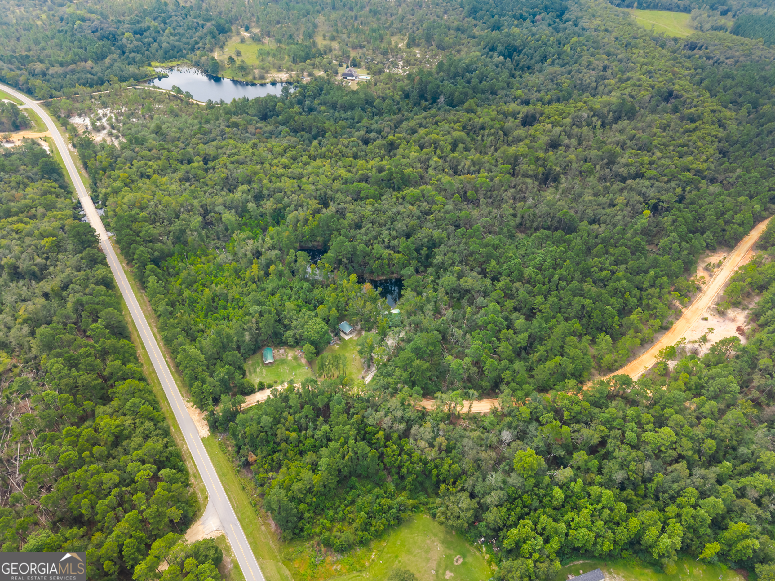 3770 Hill Road Metter, GA 30439 - Photo 30 of 32 a view of a forest from a window