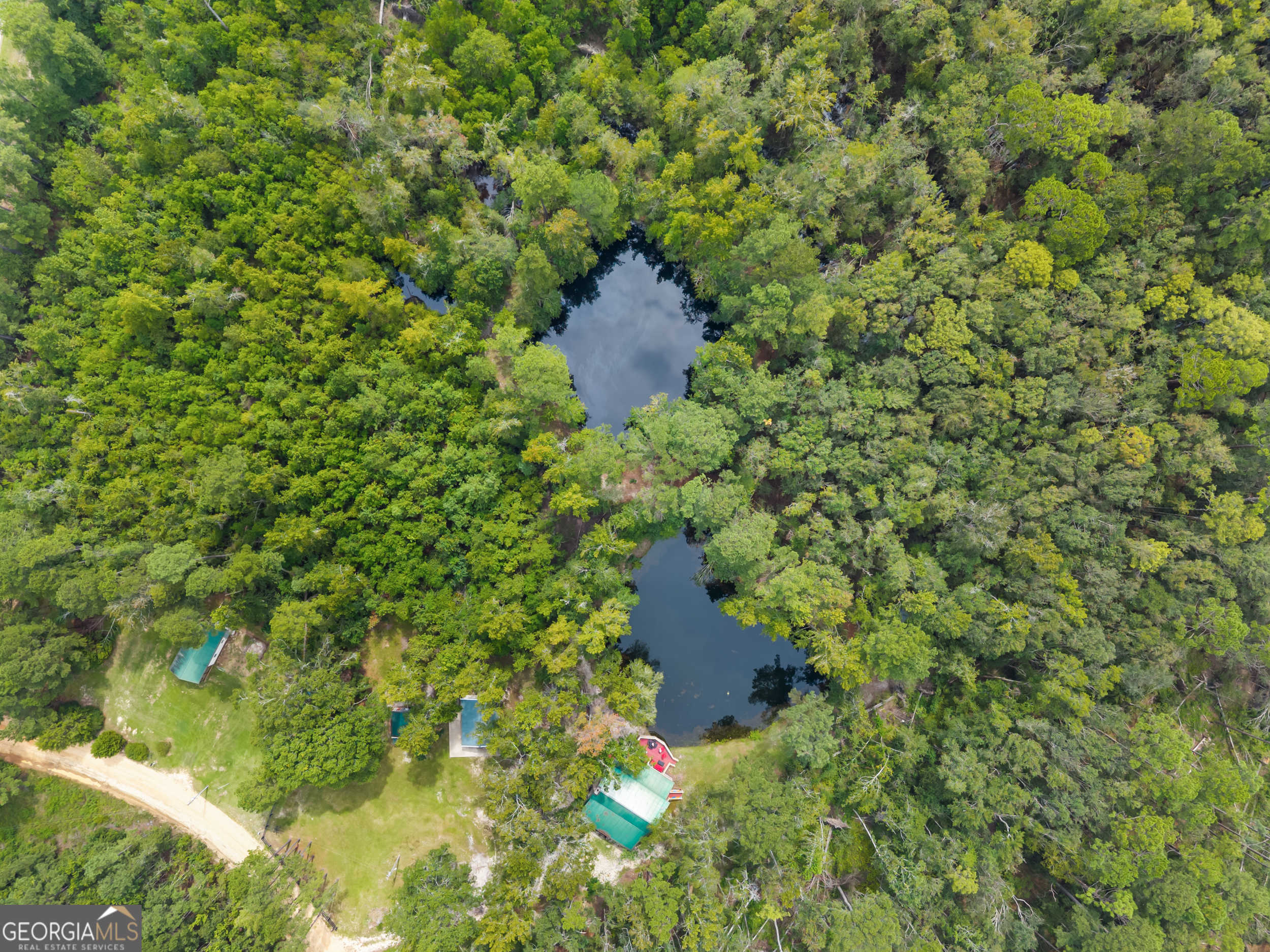 3770 Hill Road Metter, GA 30439 - Photo 31 of 32 a picture of a tree