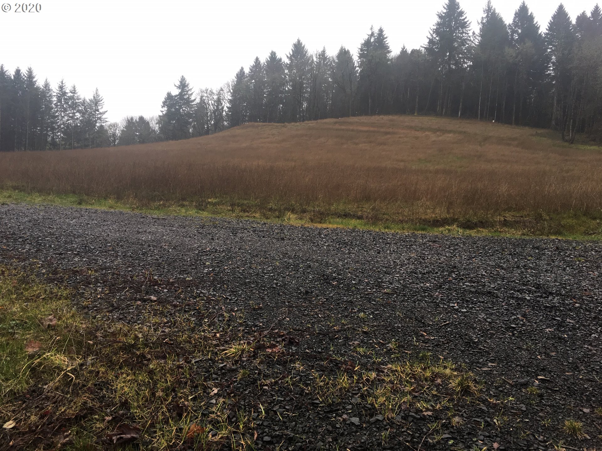 Alpine Road, Unit 301 Monroe, OR 97456 - Photo 4 of 5 Gallery Image 4