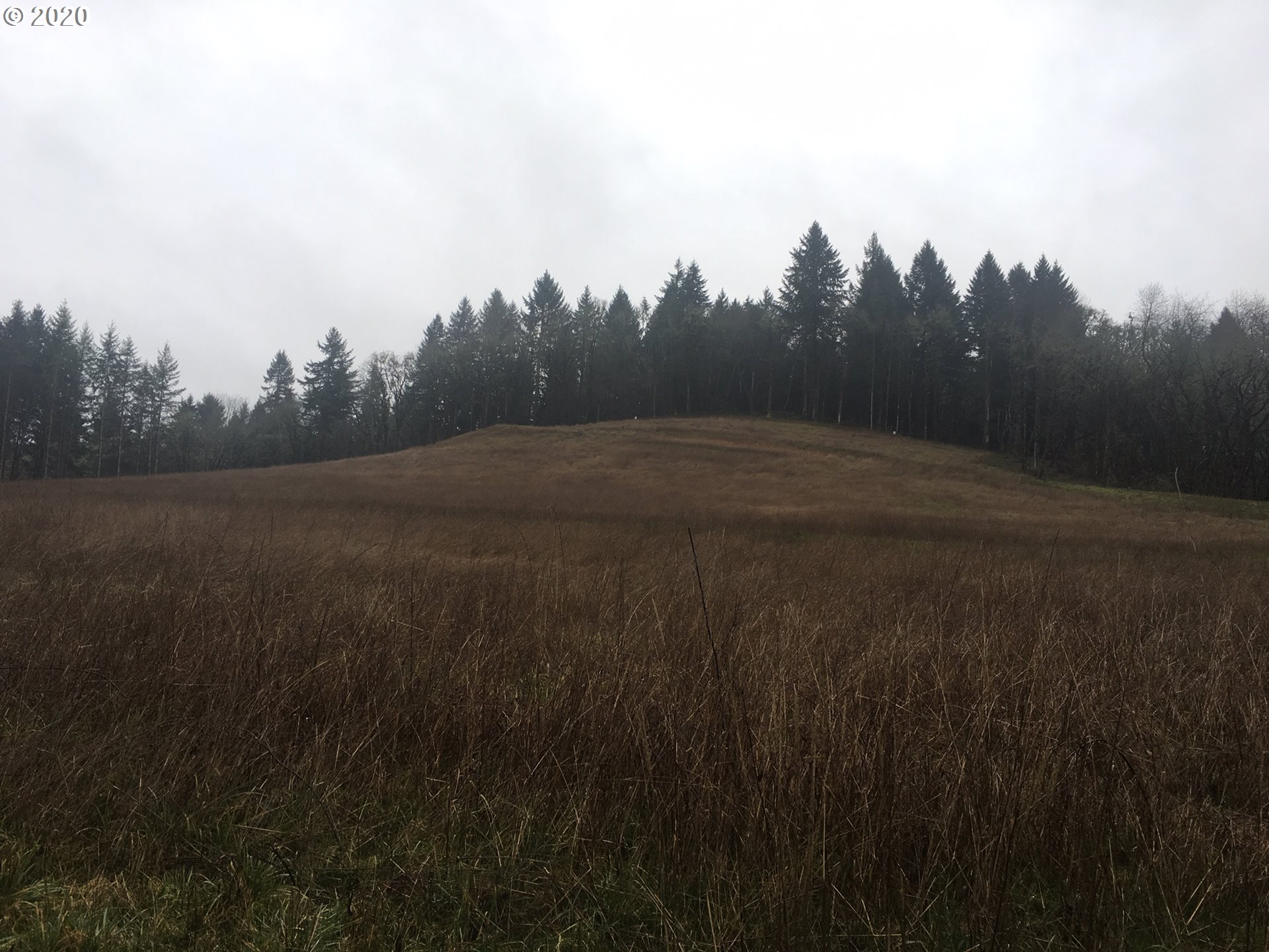 Alpine Road, Unit 301 Monroe, OR 97456 - Photo 5 of 5 Gallery Image 5