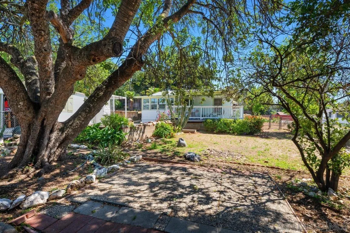 155 Willowside Terrace Alpine, CA 91901 - Photo 24 of 38 a view of a yard with plants and trees