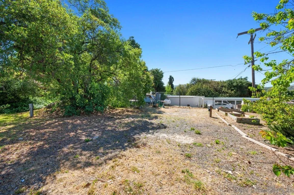 155 Willowside Terrace Alpine, CA 91901 - Photo 33 of 38 a view of a backyard with large trees