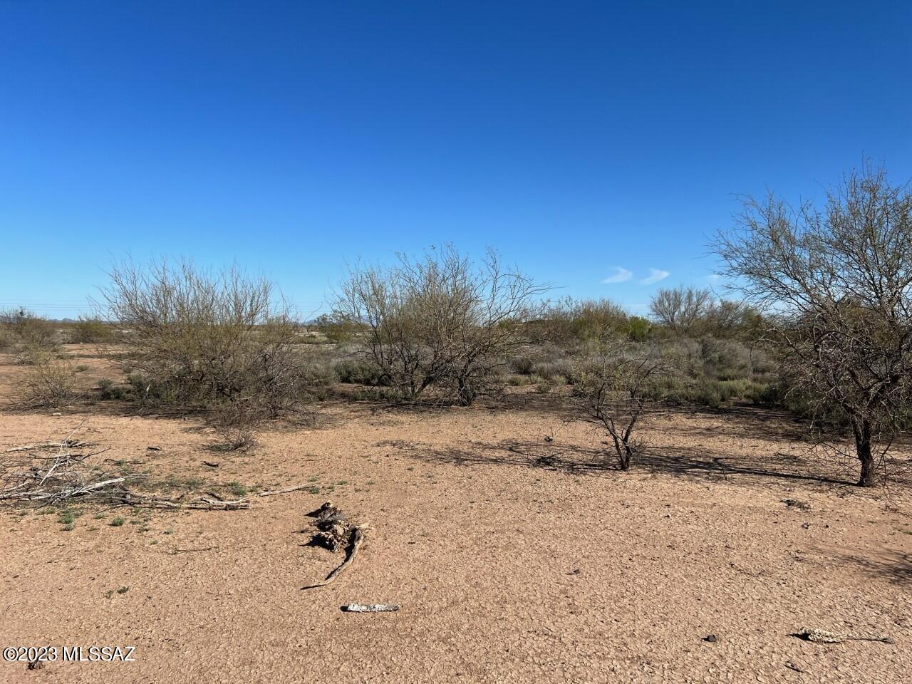 Tbd Tbd Cherry Blossom Road Marana, AZ 85653 - Photo 4 of 9 Scrub Brush 4