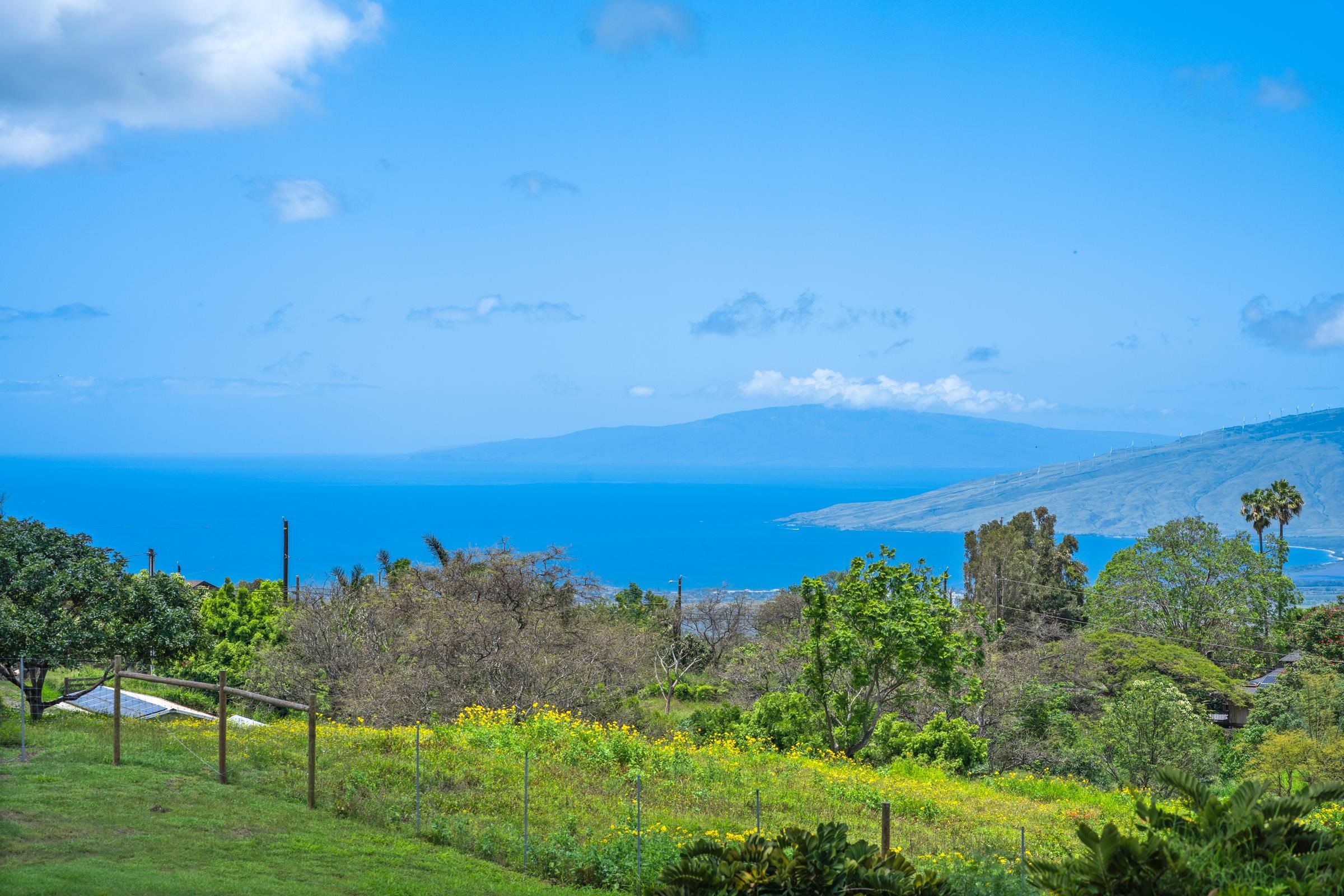 1304 Naalae Road Kula, HI 96790 - Photo 14 of 50 Gallery Image 14