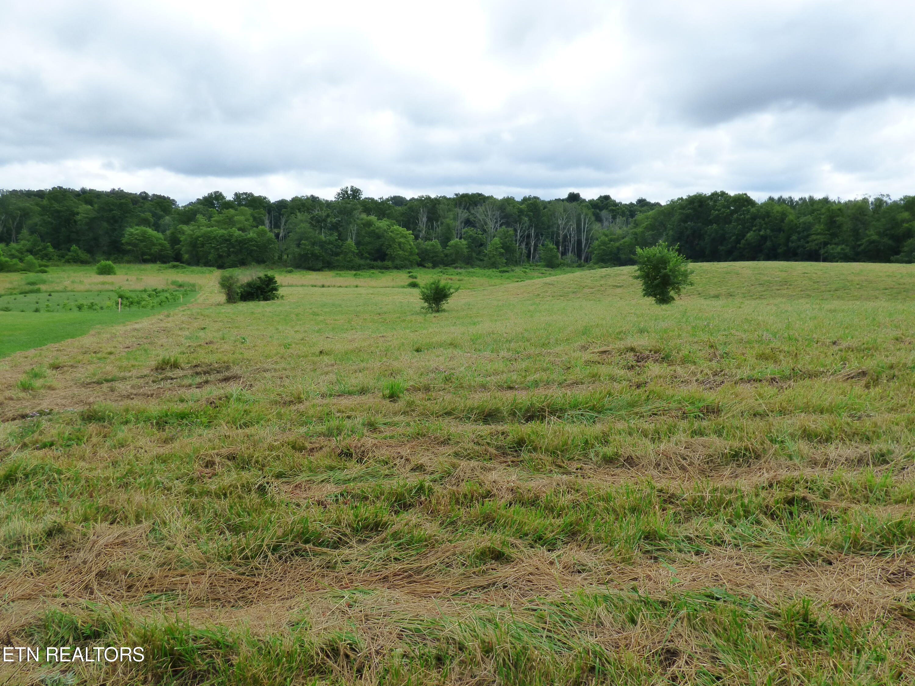 Dykes Road Crossville, TN 38571 - Photo 11 of 27 P1070730