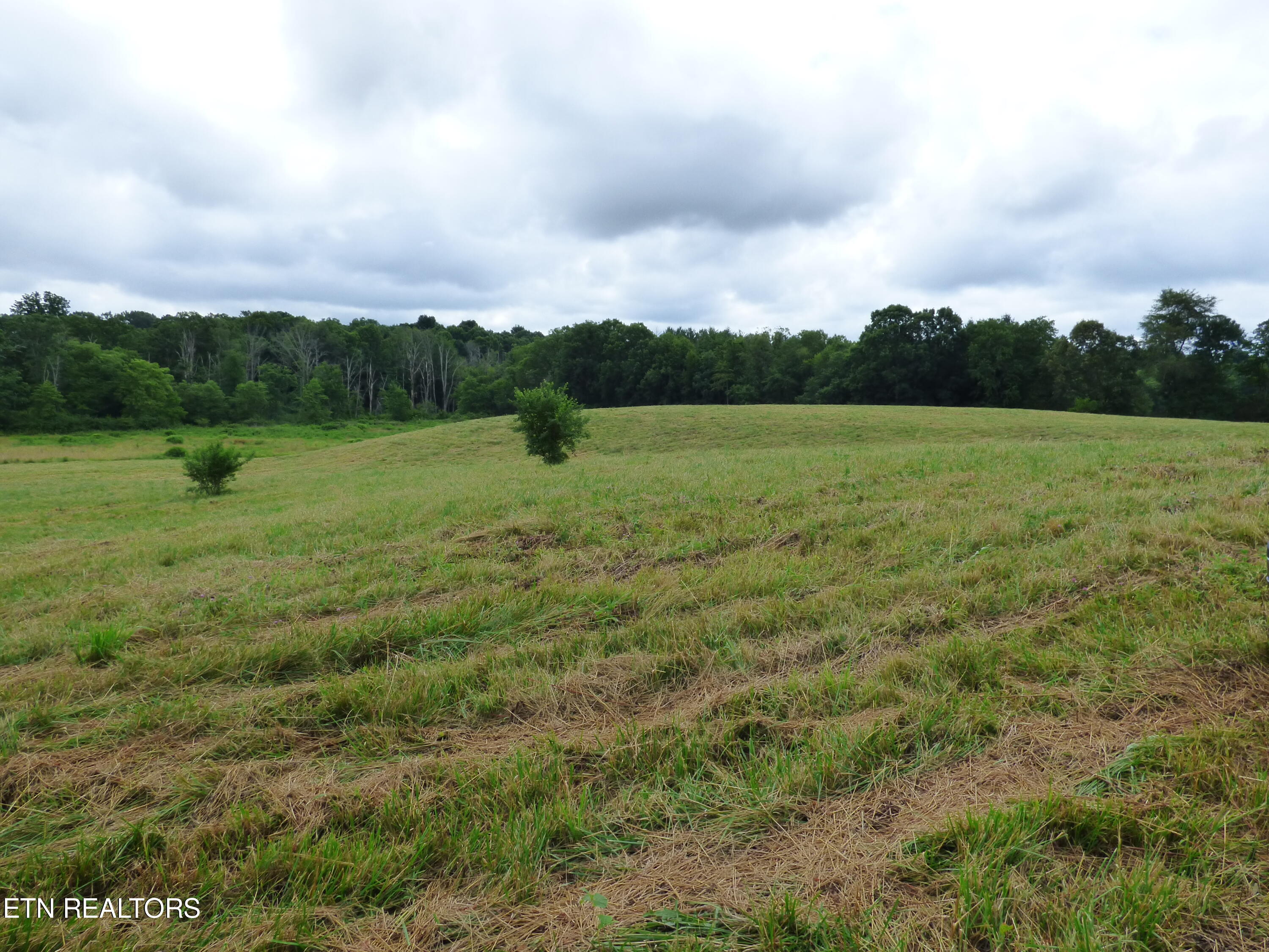 Dykes Road Crossville, TN 38571 - Photo 12 of 27 P1070731