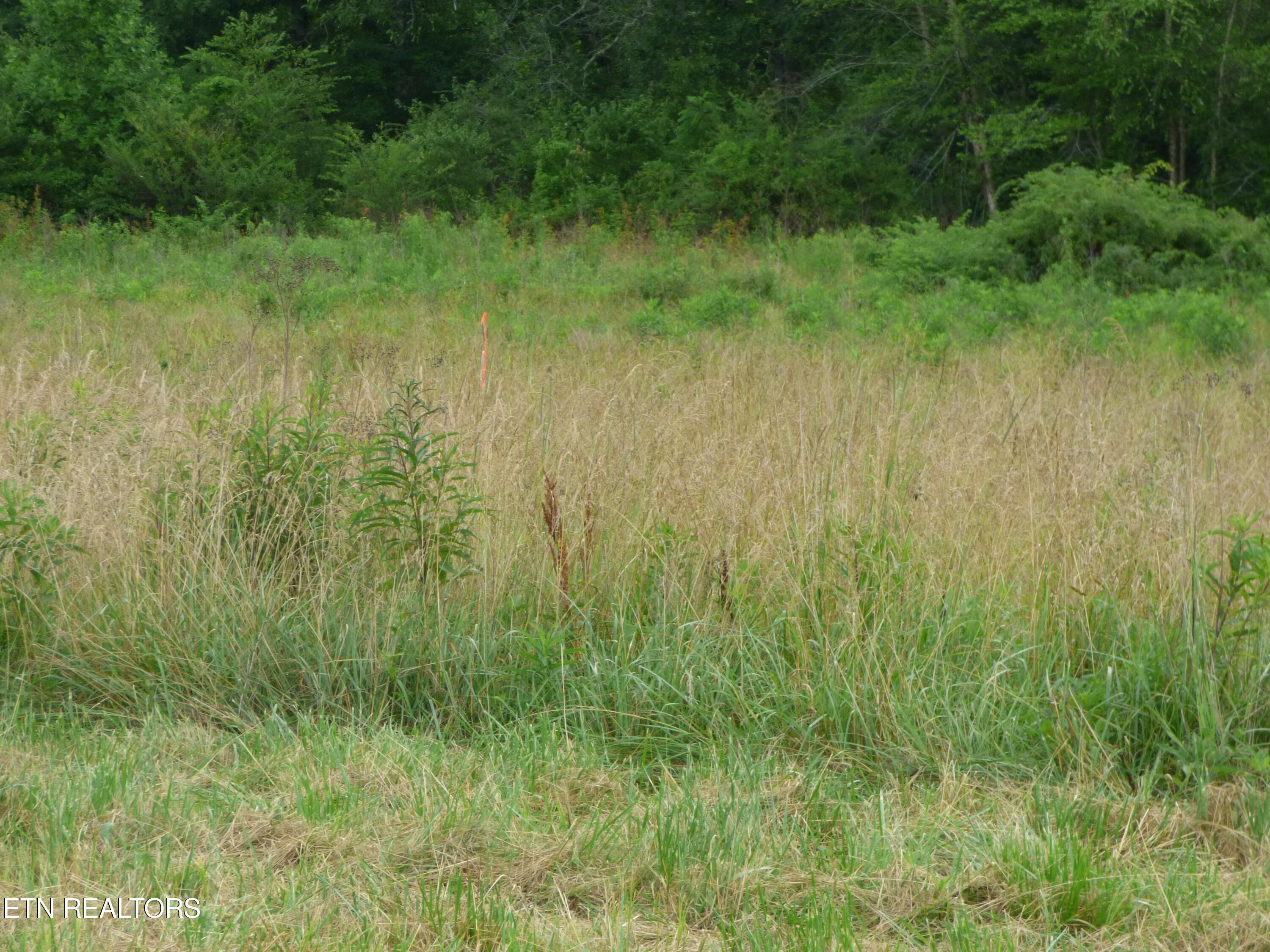 Dykes Road Crossville, TN 38571 - Photo 13 of 27 P1070732