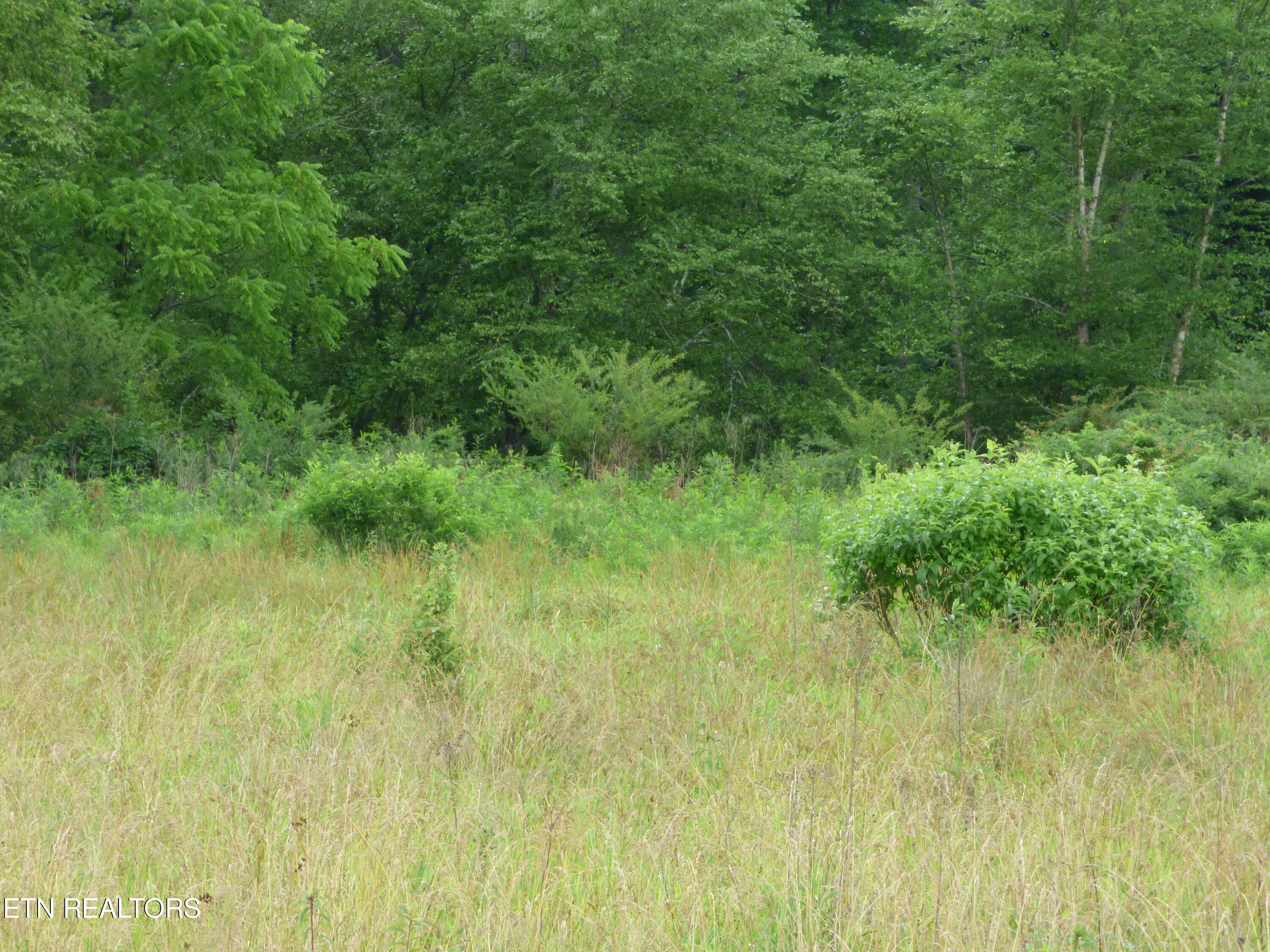 Dykes Road Crossville, TN 38571 - Photo 14 of 27 P1070733