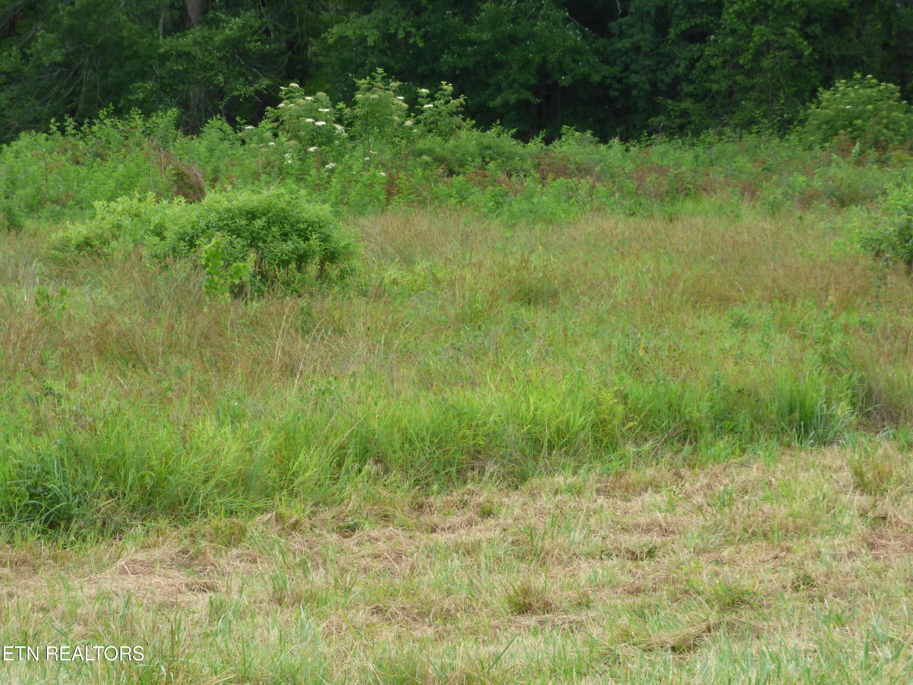 Dykes Road Crossville, TN 38571 - Photo 15 of 27 P1070734