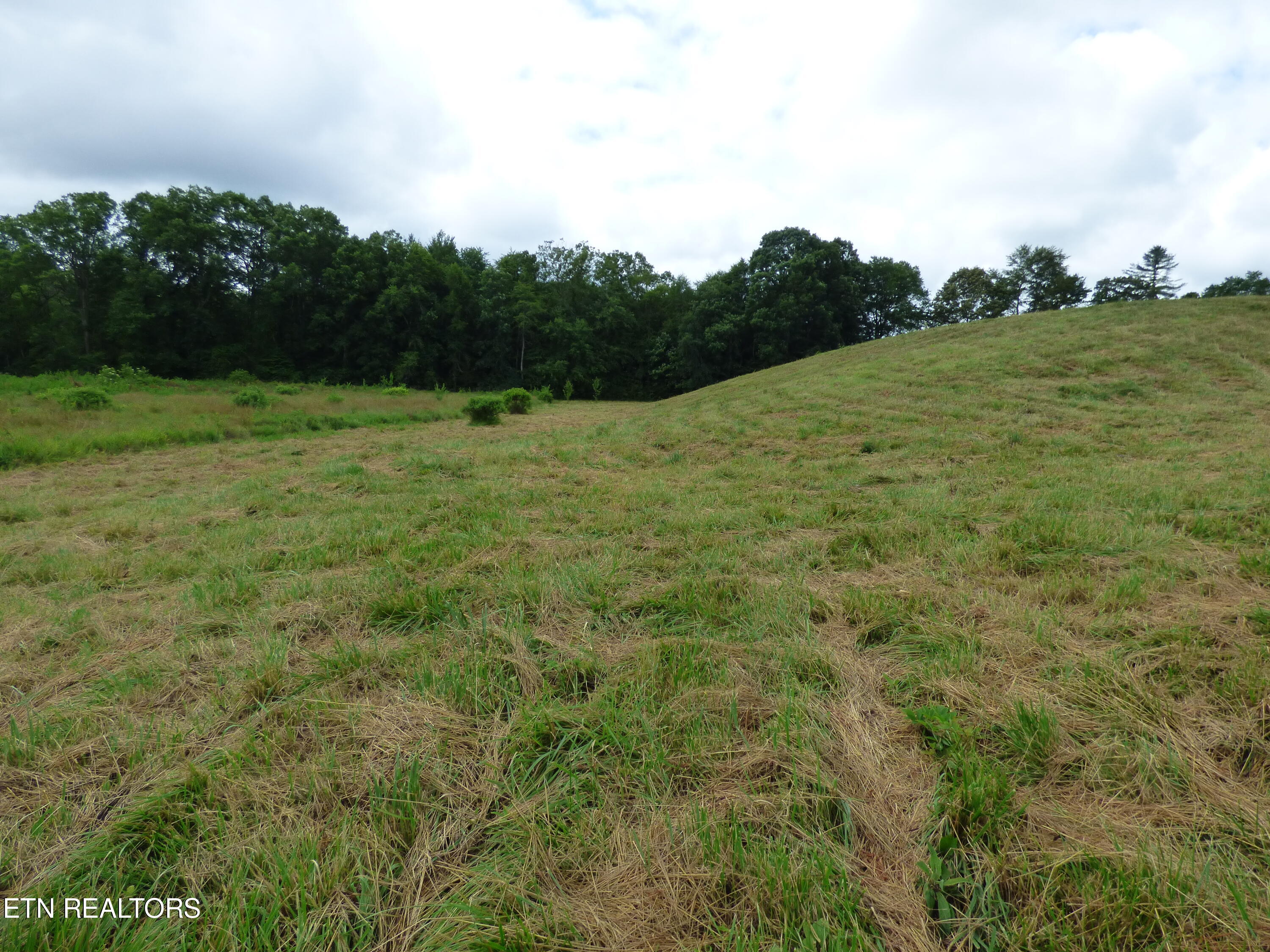Dykes Road Crossville, TN 38571 - Photo 16 of 27 P1070735