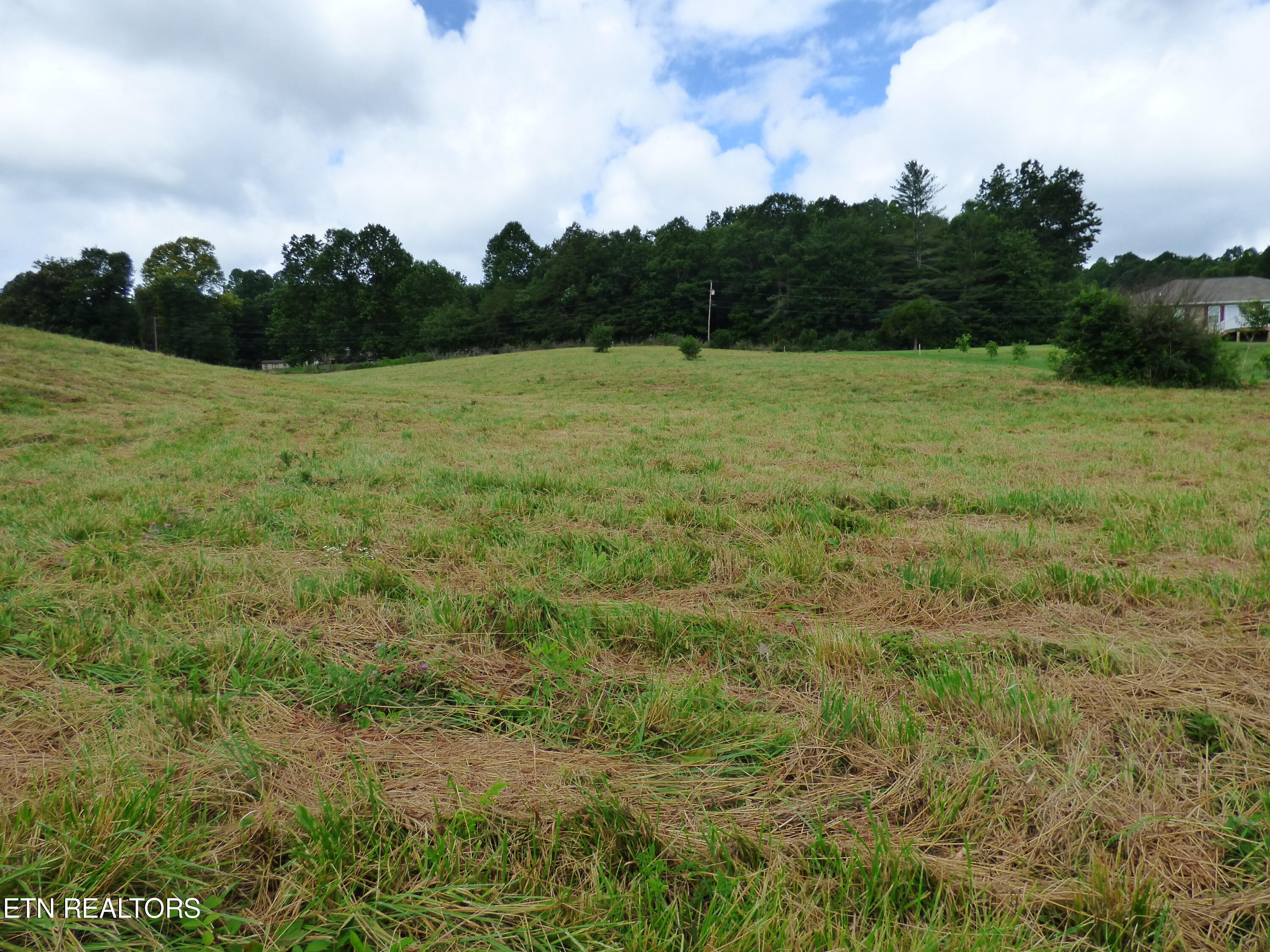 Dykes Road Crossville, TN 38571 - Photo 18 of 27 P1070737
