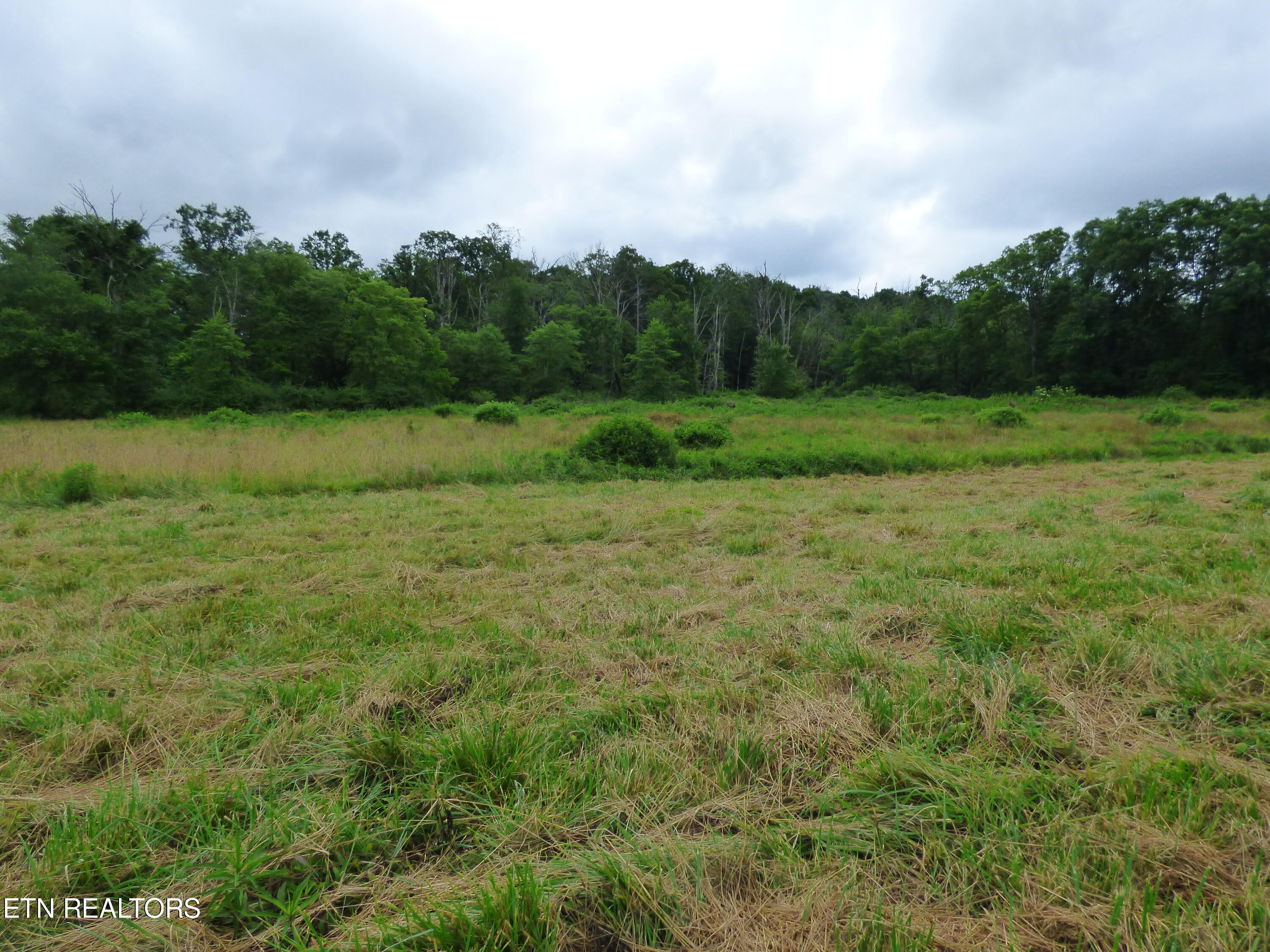 Dykes Road Crossville, TN 38571 - Photo 19 of 27 P1070738