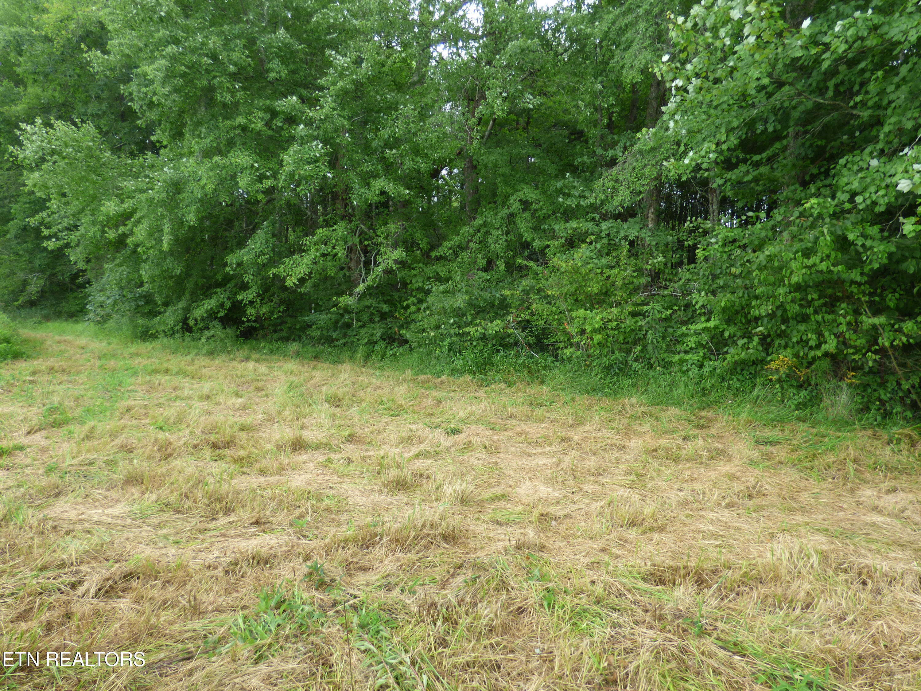Dykes Road Crossville, TN 38571 - Photo 20 of 27 P1070739