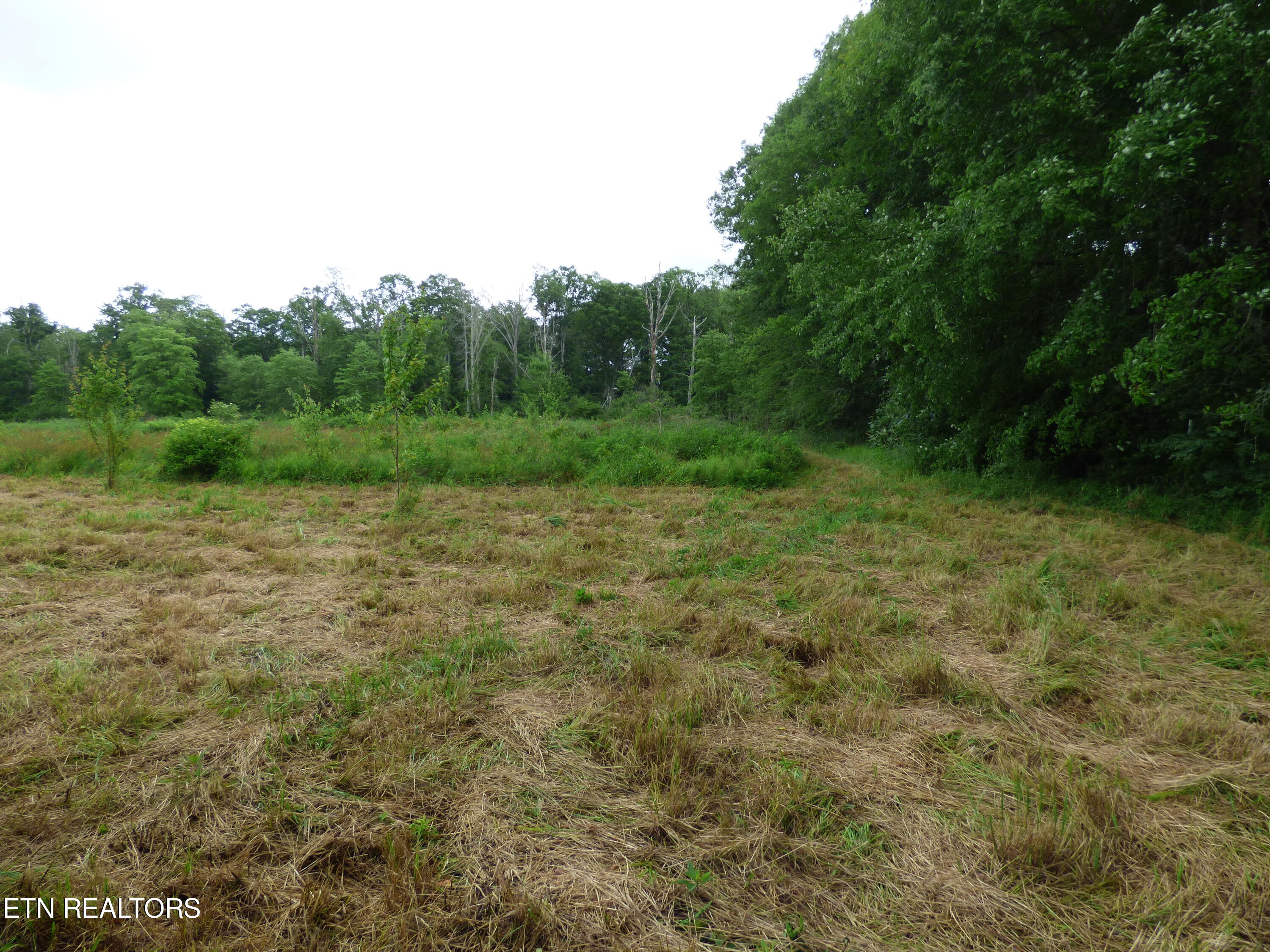 Dykes Road Crossville, TN 38571 - Photo 21 of 27 P1070740